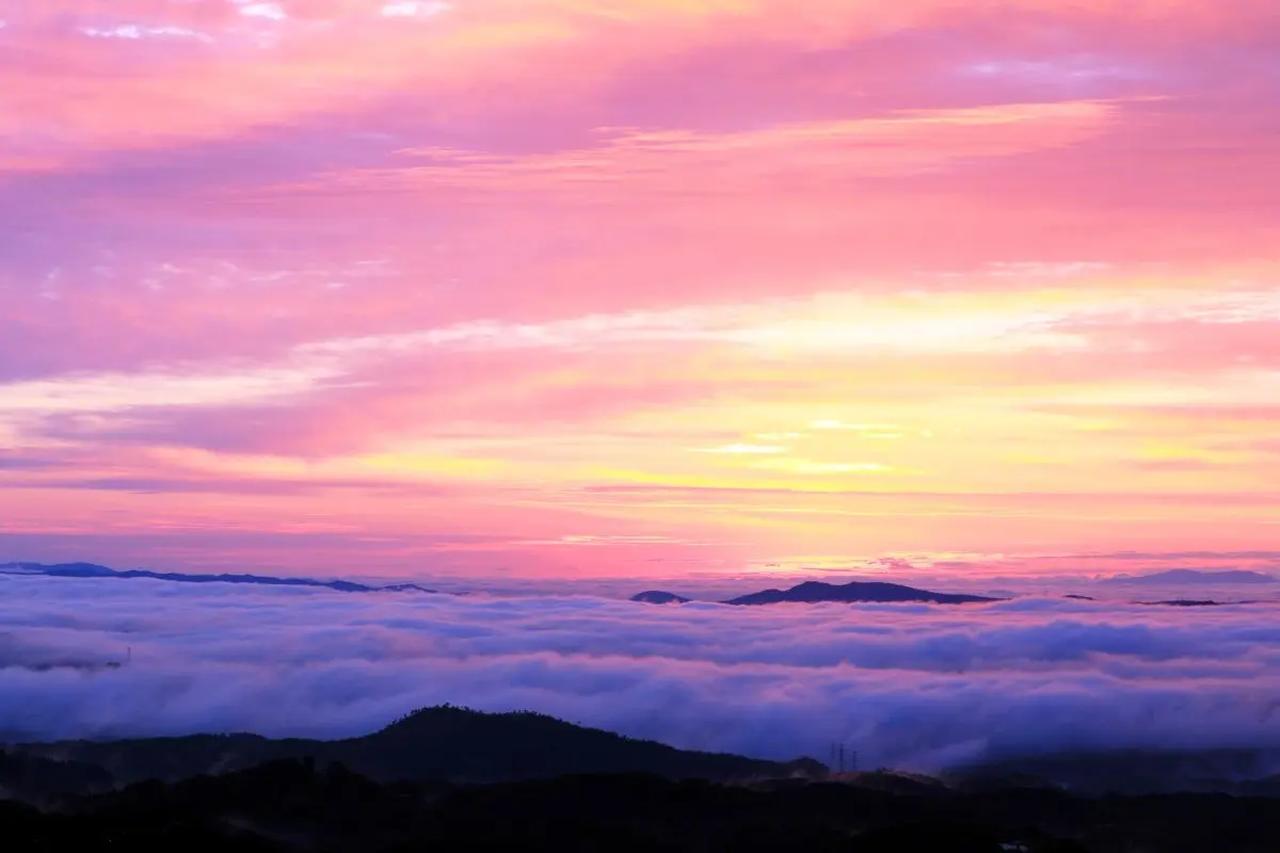 画像2: 香りの三重奏──酵母の掛け合わせが生む“香りの層”