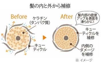 画像2: 秋の香りを髪にまとう贅沢♡ナチュラルアイランドから「金木犀の香り」のヘアケアが新登場!