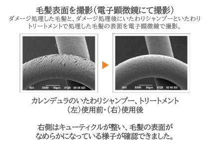 画像3: 秋の香りを髪にまとう贅沢♡ナチュラルアイランドから「金木犀の香り」のヘアケアが新登場!