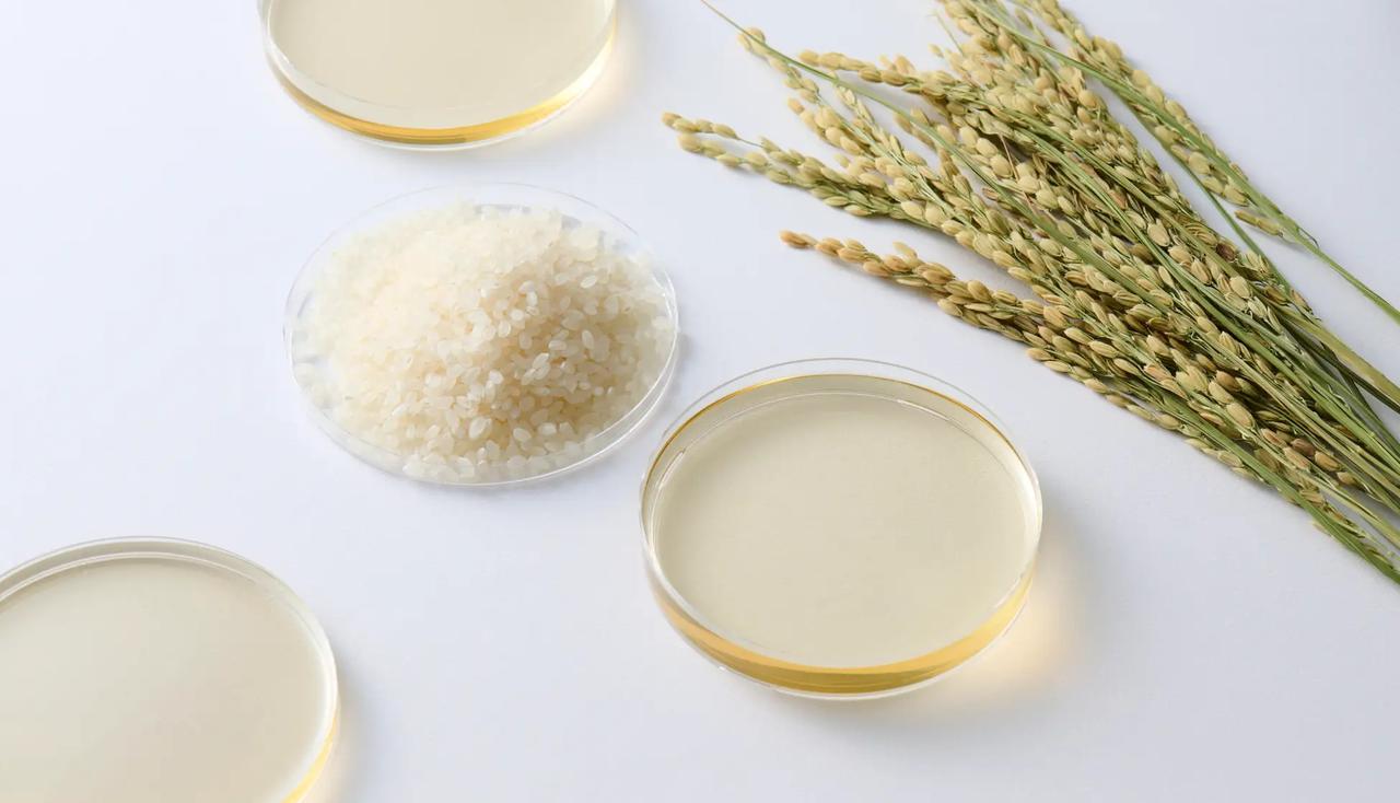 画像: ライスパワー®No.103 100％国産米を原料に、長い年月をかけて培われた日本伝統の発酵技術と現代科学を融合した独自技術「日本型バイオ™」によって生み出された、他にはない天然由来の機能性成分です。全身を内側からうるおいあふれる状態へと導きます。