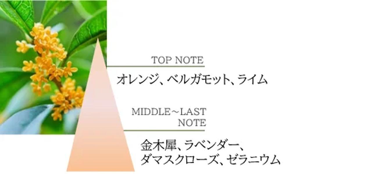 画像1: 秋の香りを髪にまとう贅沢♡ナチュラルアイランドから「金木犀の香り」のヘアケアが新登場!