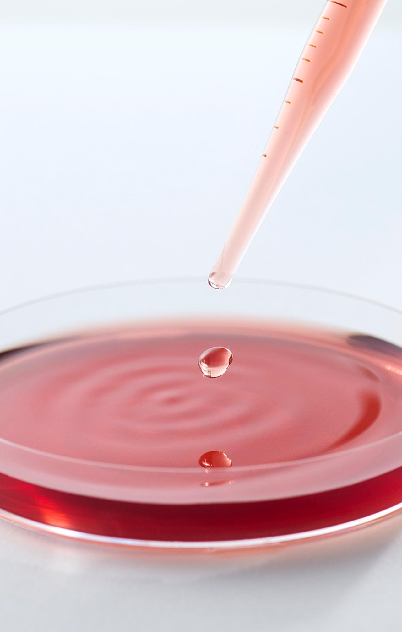 画像: 瀬戸内の恵みで肌にハリと透明感♡美容ドリンク『HARI DRINK premium』で内側からハリ満ちる美しさへ