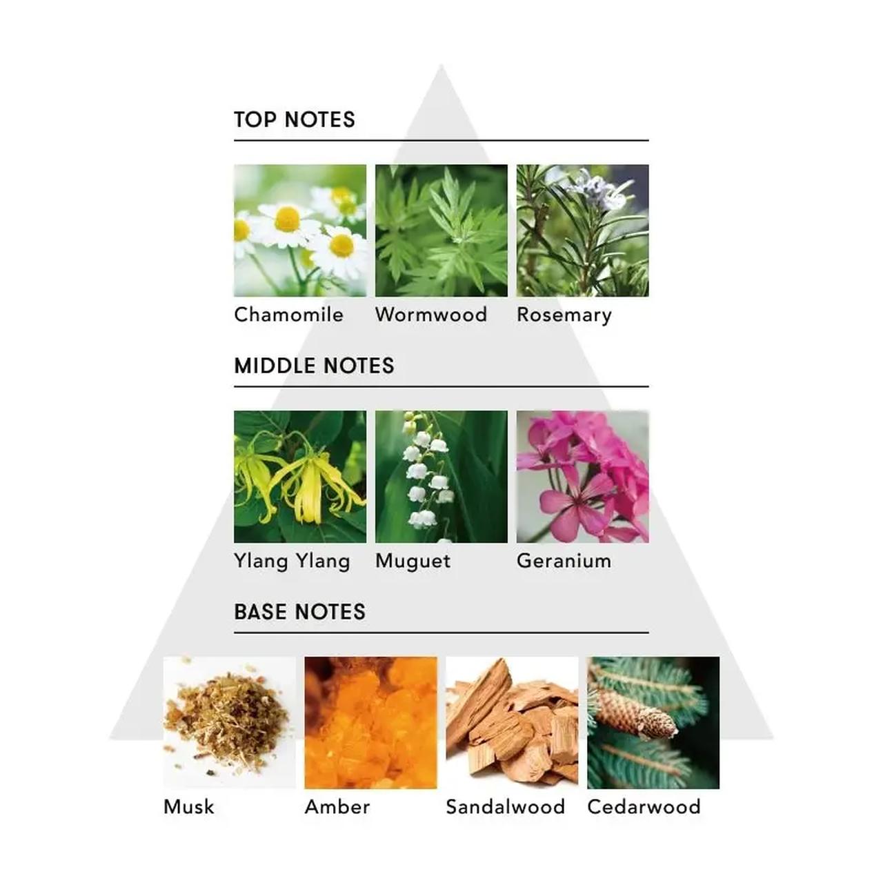 画像3: 香りで髪を仕立てる♡SINN PURETÉから、話題の“第2のプロユースオイル”が誕生！