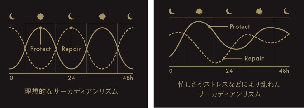 画像: サーカディアンリズム(体内時計)に着目した、革新のホリスティックケア