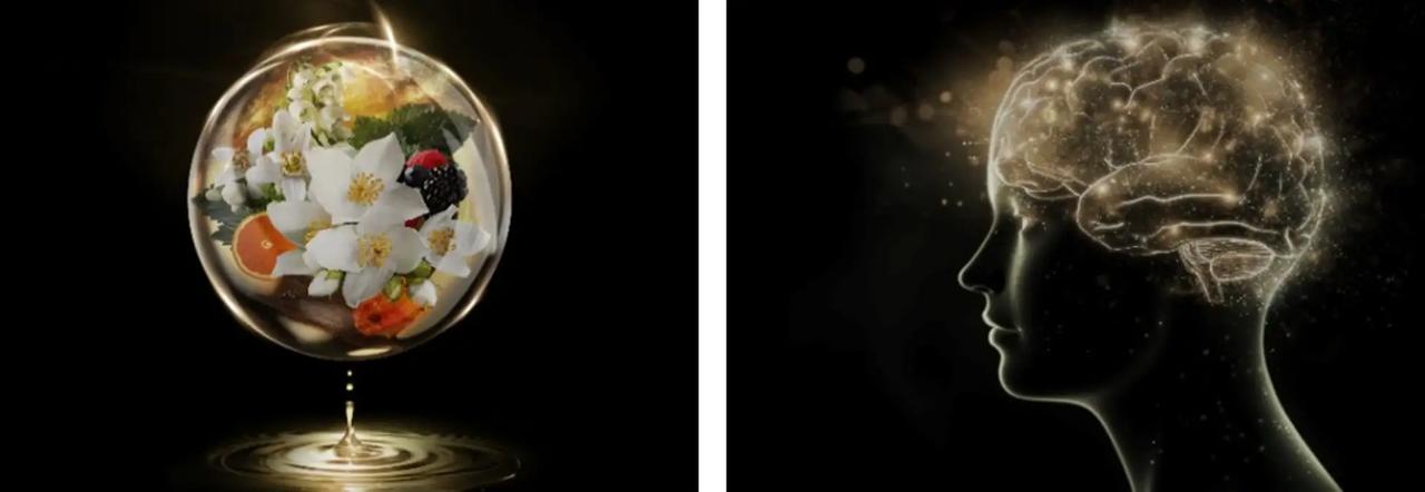 画像: 五感を満たす、ラグジュアリーな香りとテクスチャー