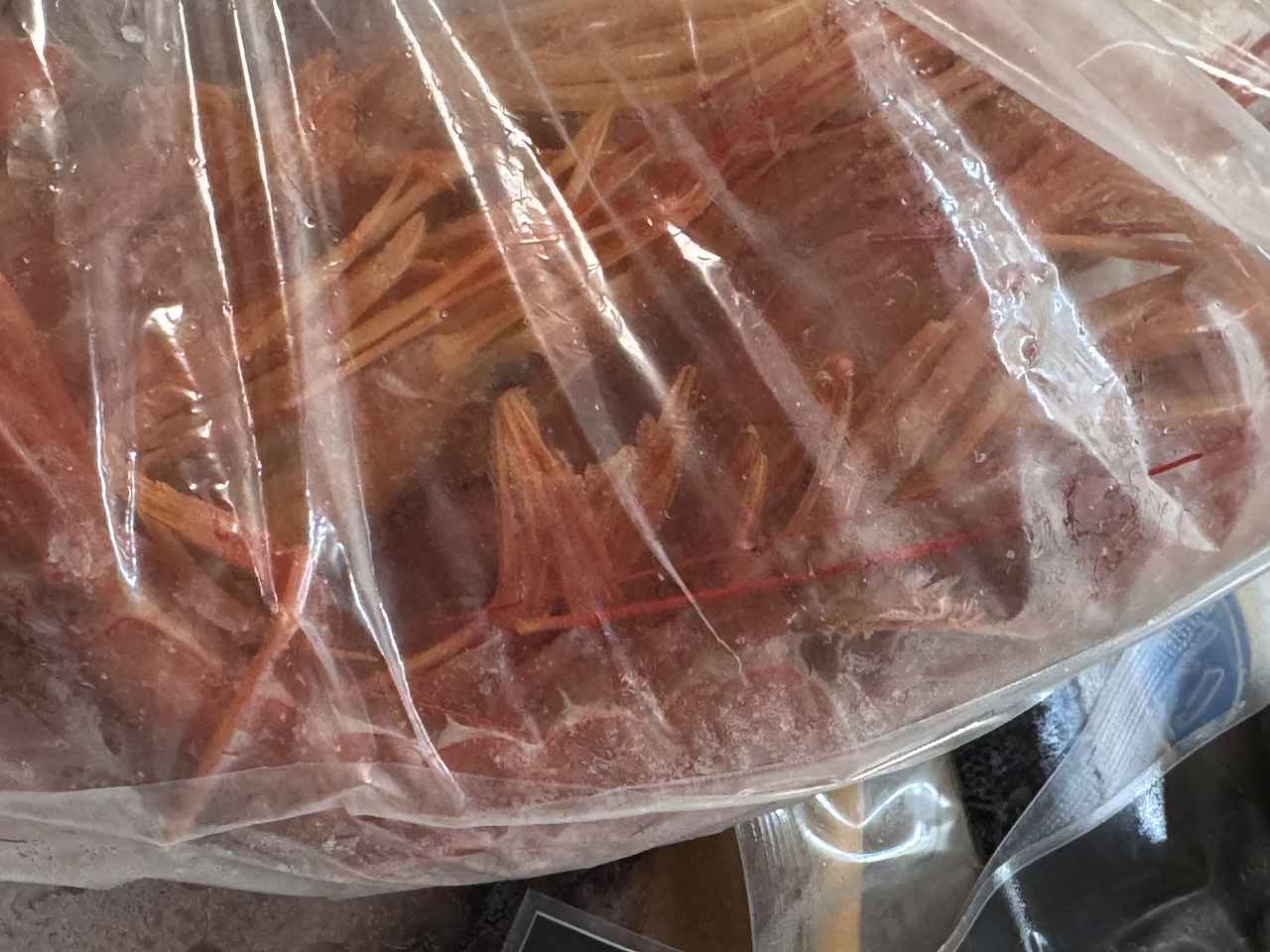 画像: 大きな有頭エビ