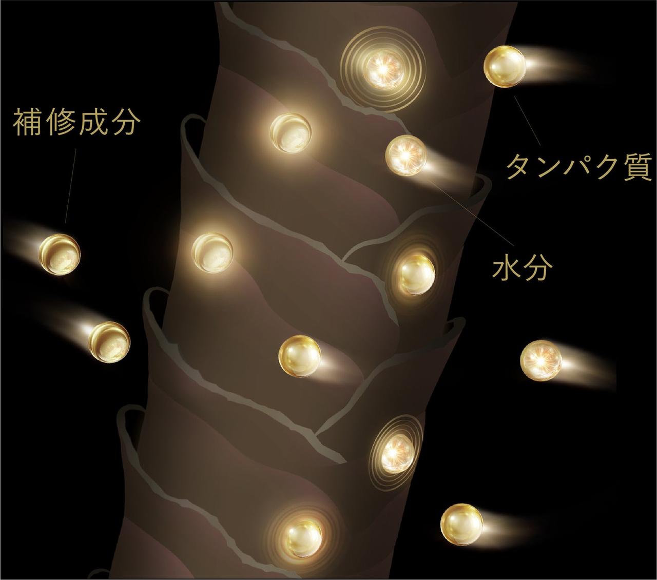 画像2: イメージ