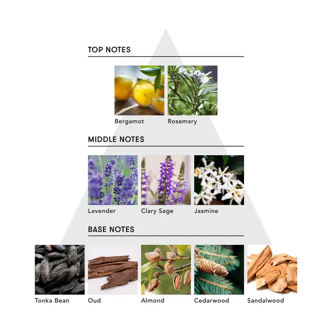 画像1: 香りで髪を仕立てる♡SINN PURETÉから、話題の“第2のプロユースオイル”が誕生！