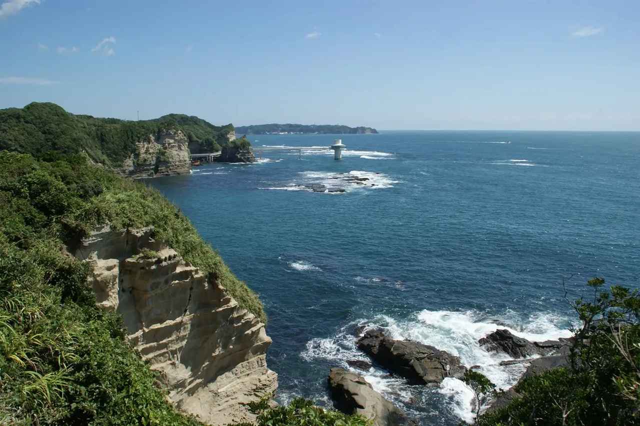 画像: 藻場ってなに?──海の命を育む“海の森”