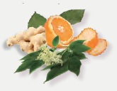 画像: 和漢エキスイメージ