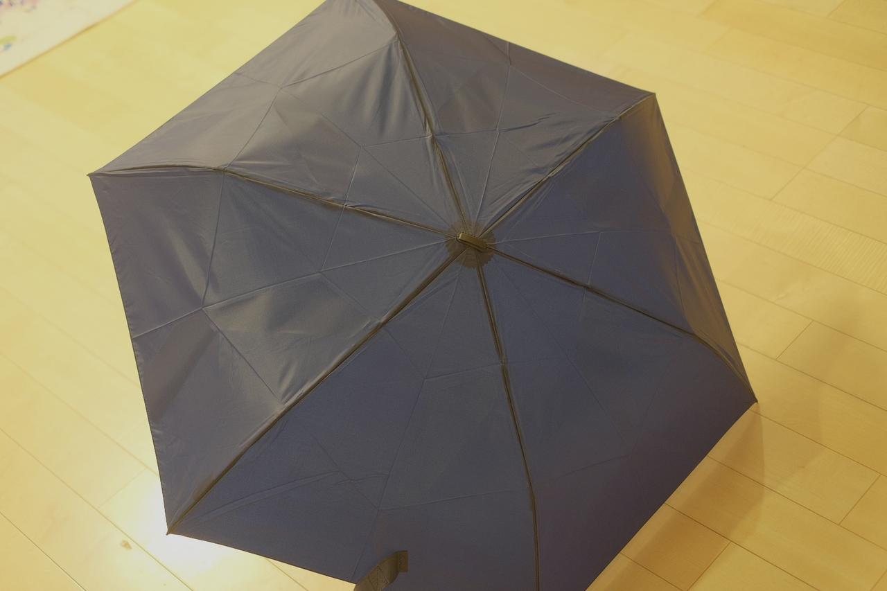 画像1: 開発背景