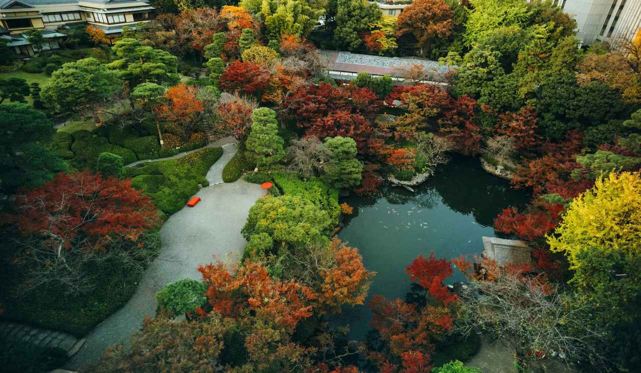 画像2: happo-en.com