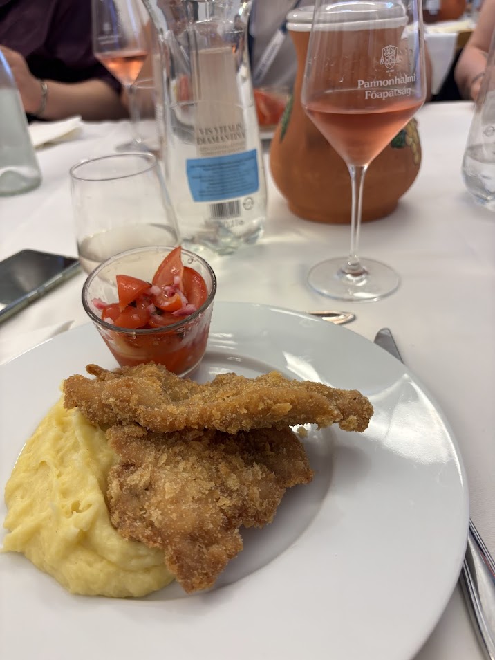 画像3: 研修旅行「ブダフォク-パノンハルマ-ショプロン-エチェク」