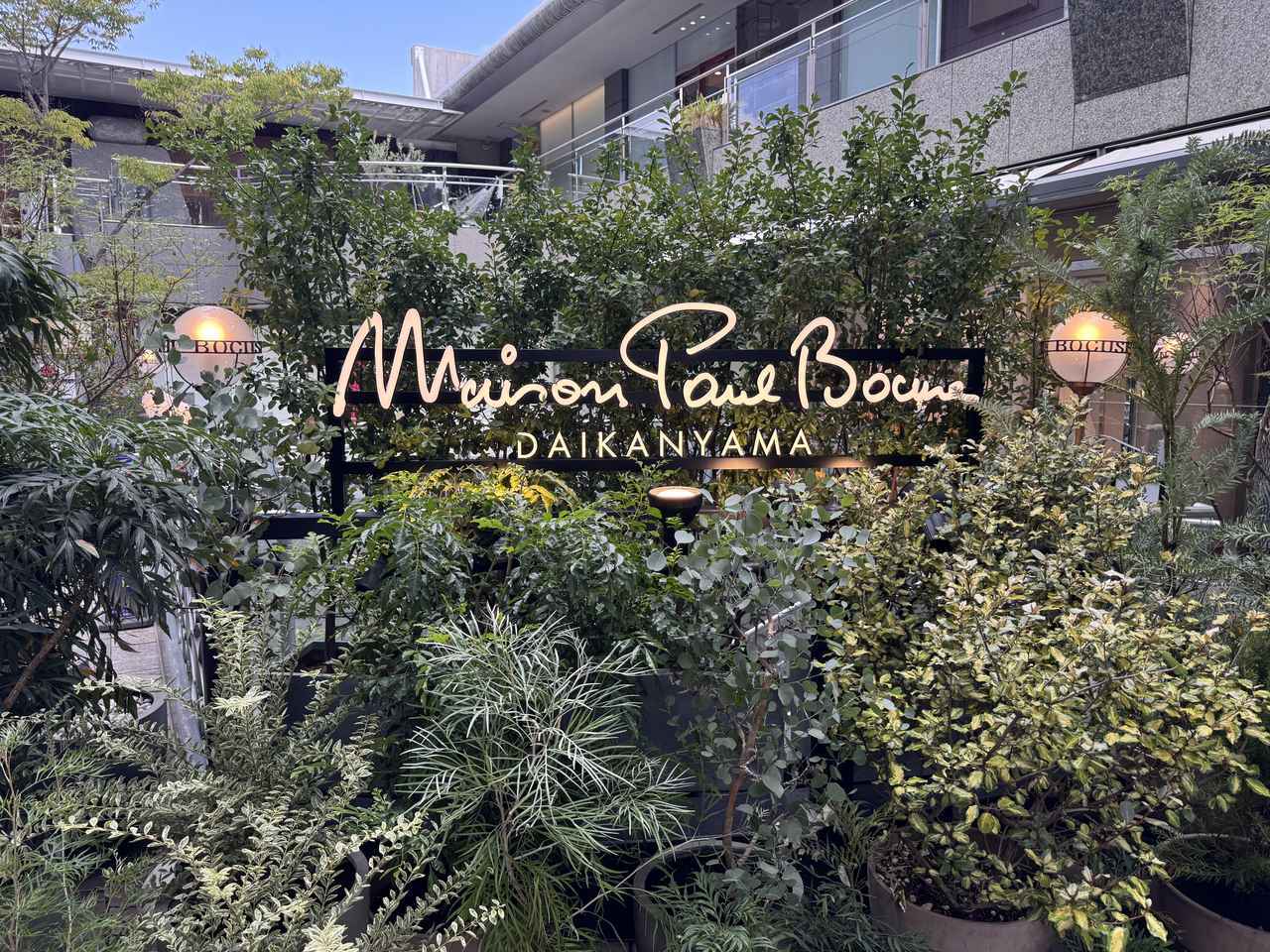 画像4: 代官山に新たな美食の響き♡「メゾン ポール・ボキューズ」リニューアルオープン