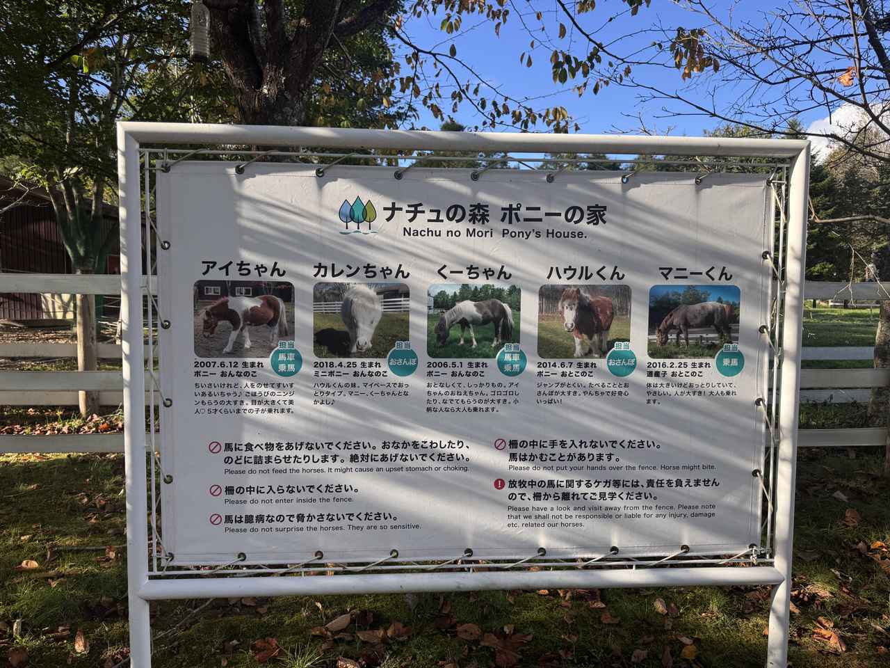 画像25: キレイって 楽しい！♡肌とからだの不思議にふれる、ナチュラルサイエンスの体験型企画展がスタート！