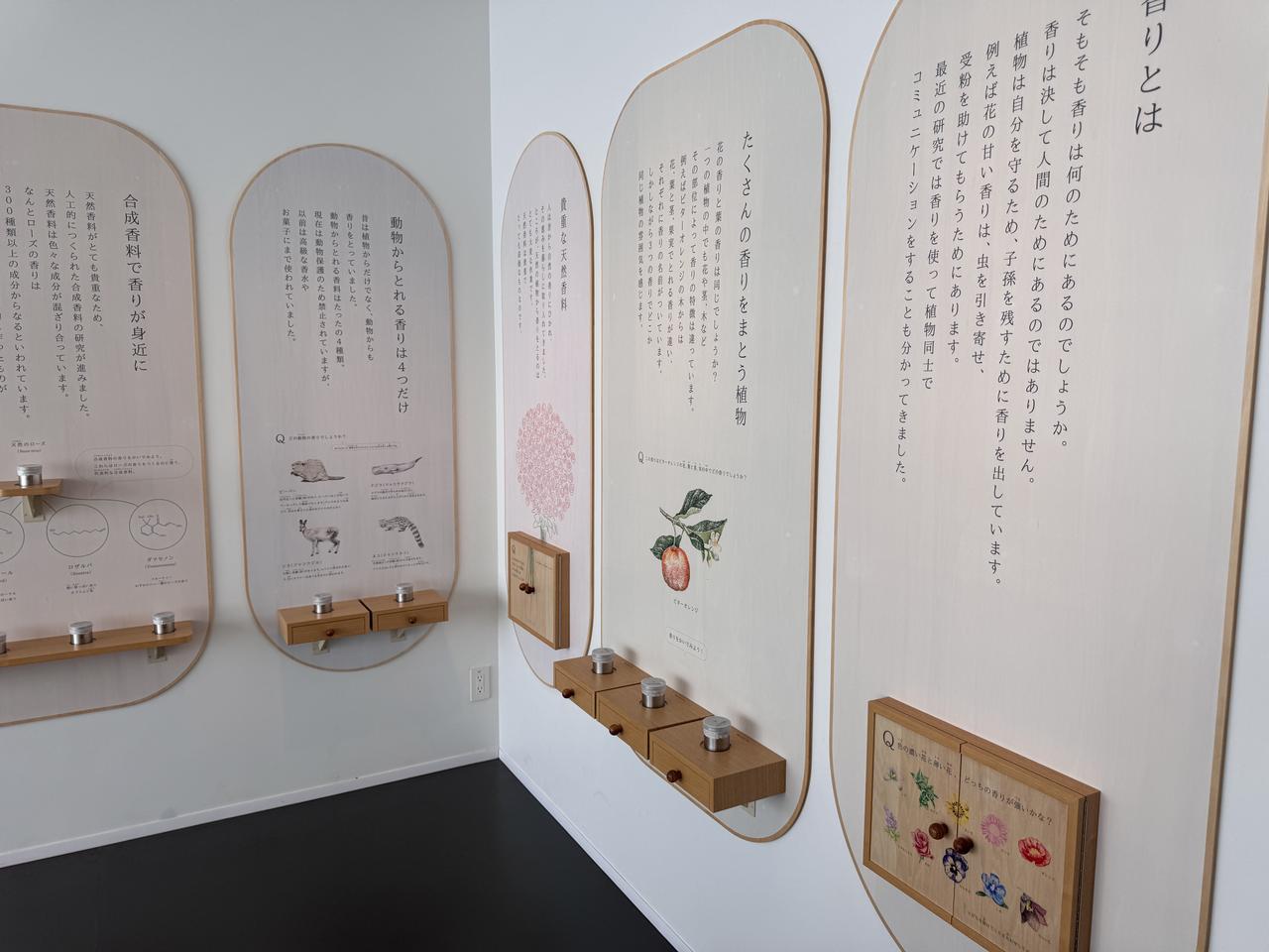 画像: クイズ形式になっていて、遊びながら学べます。