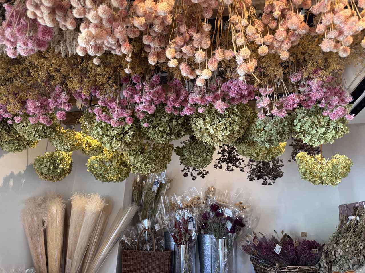 画像14: キレイって 楽しい！♡肌とからだの不思議にふれる、ナチュラルサイエンスの体験型企画展がスタート！