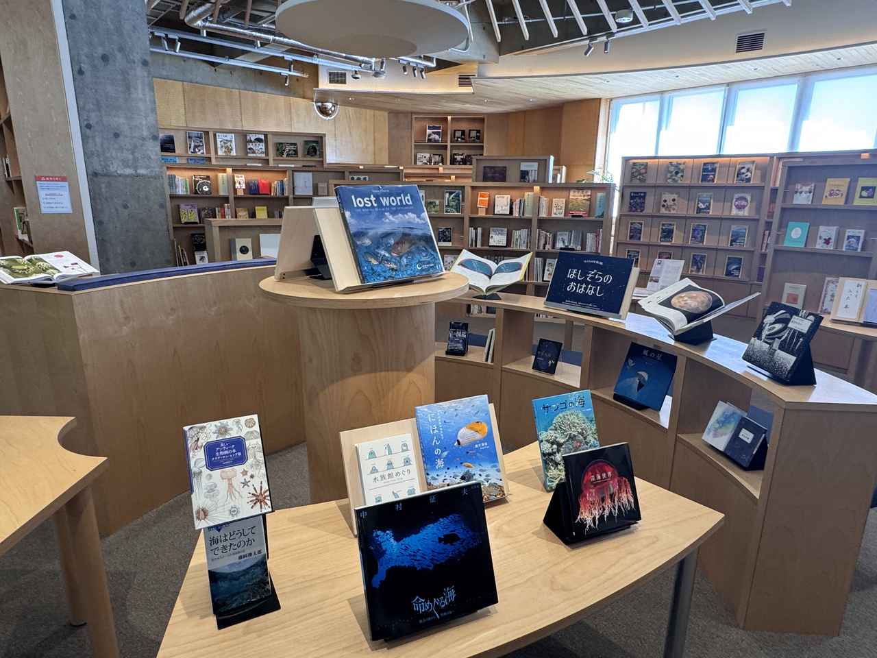 画像: 色とりどりに様々なジャンルやテーマが並ぶ本棚は、眺めているだけでもワクワク。