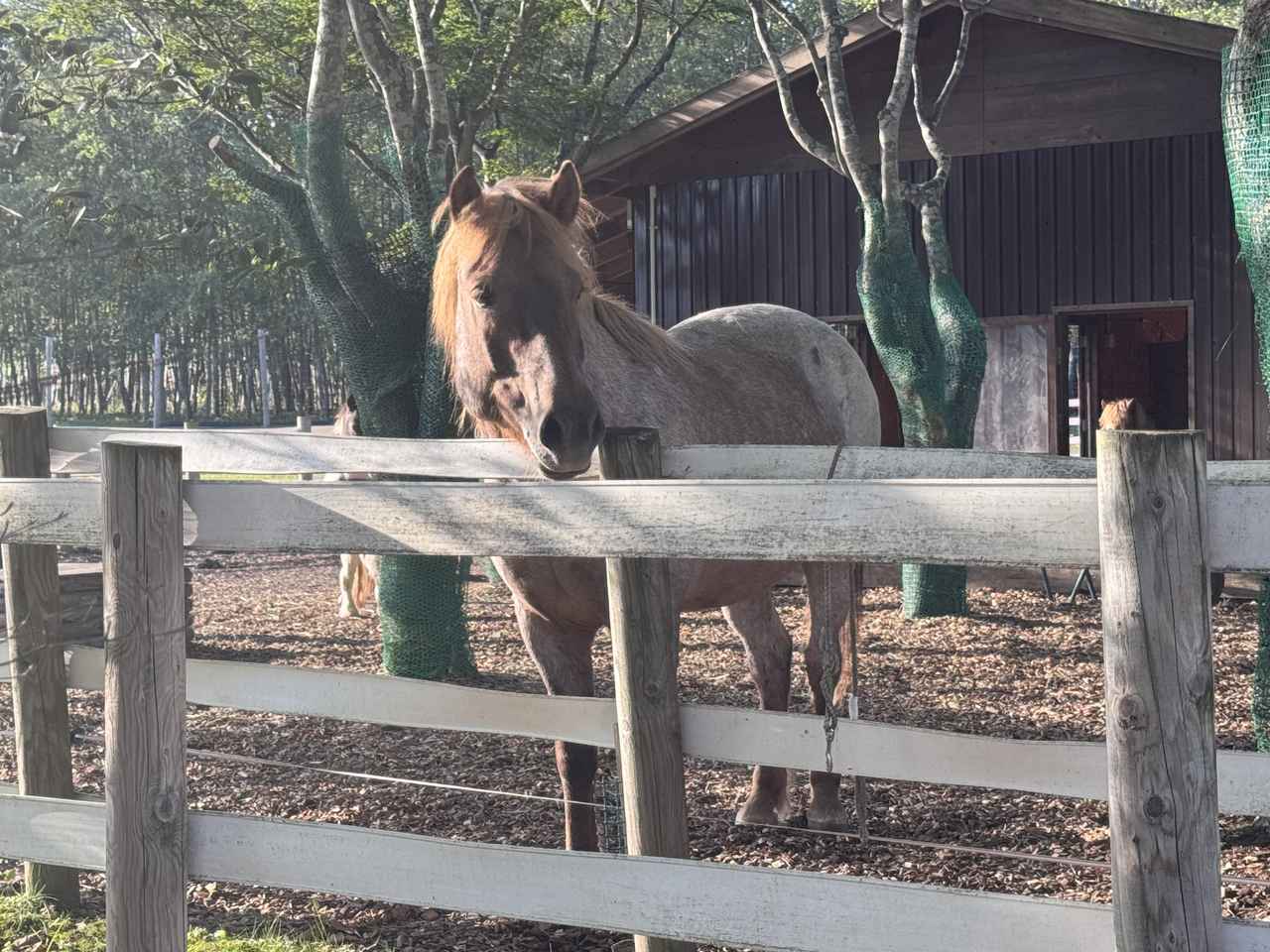 画像24: キレイって 楽しい！♡肌とからだの不思議にふれる、ナチュラルサイエンスの体験型企画展がスタート！