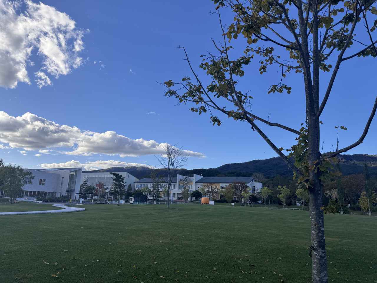 画像1: 知識がなくても、ここに来れば始められる —ナチュの森が教えてくれる肌とのやさしい向き合い方—