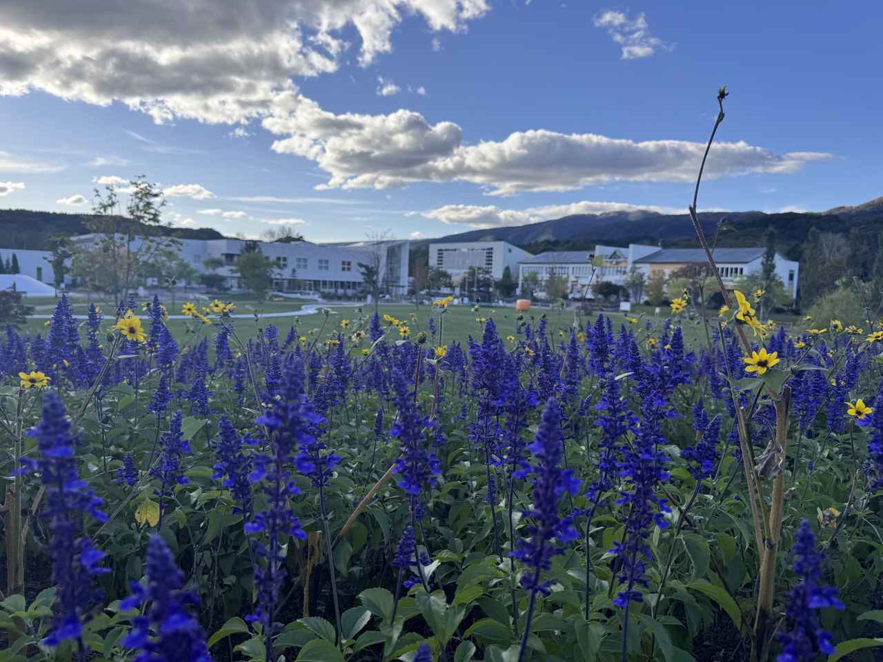 画像1: 美と健康、そして癒しがそろう“スキンケアの楽園”