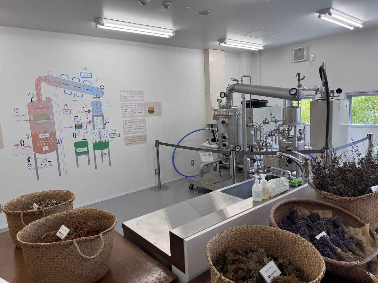 画像: 【蒸留実験室】本格的な蒸留装置を間近で見られる、科学好きにはたまらないスポット。