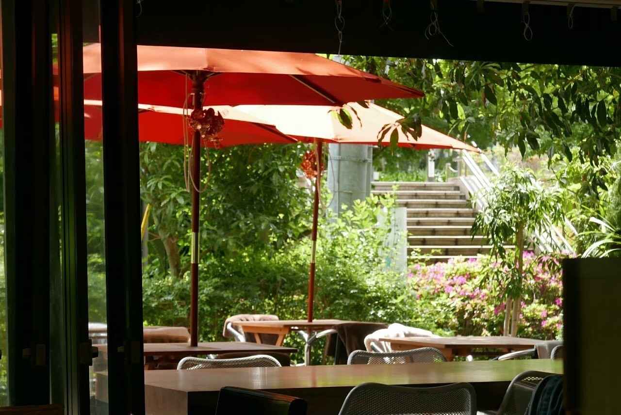 画像2: ナチュラルモダンな内装が心地よい店内|開放的なテラス席は特に人気