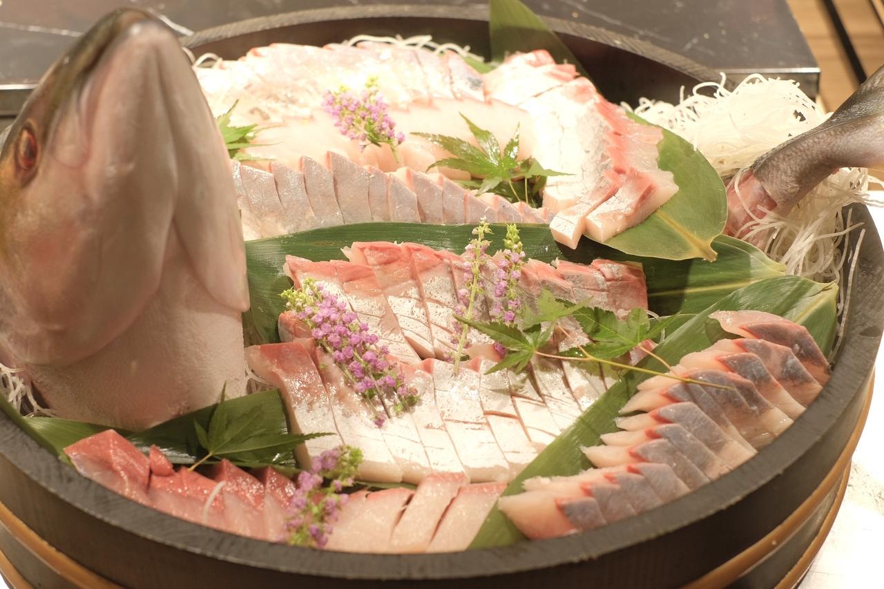 画像: ブリ姿造り