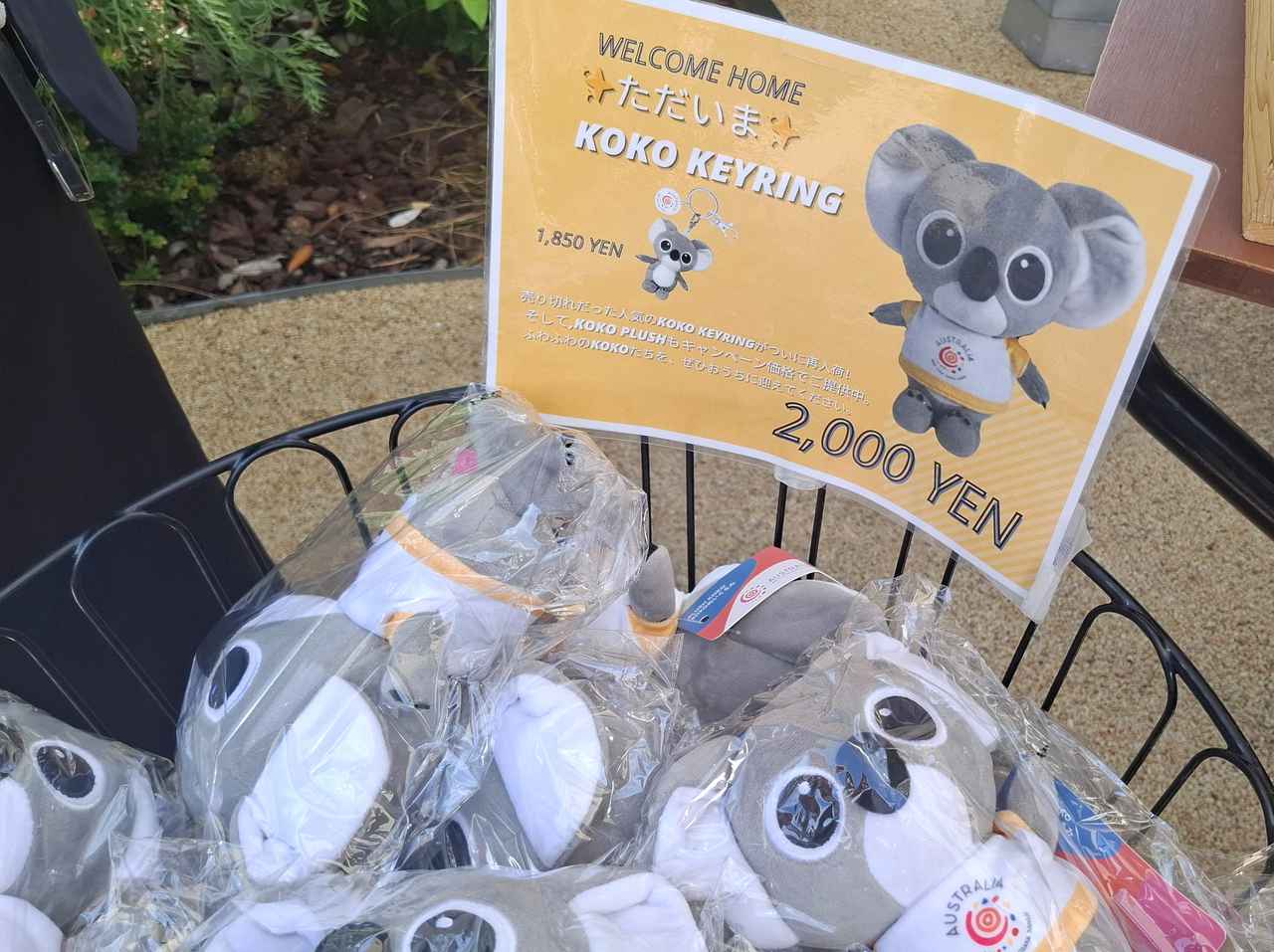 画像6: エネルギー資源豊富なオーストラリア