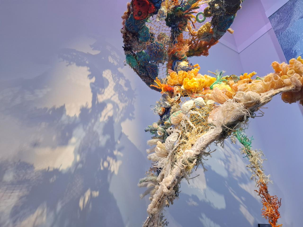 画像5: エネルギー資源豊富なオーストラリア