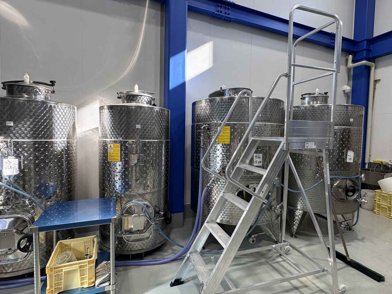 画像: 発酵の様子も特別に見学させていただきました。