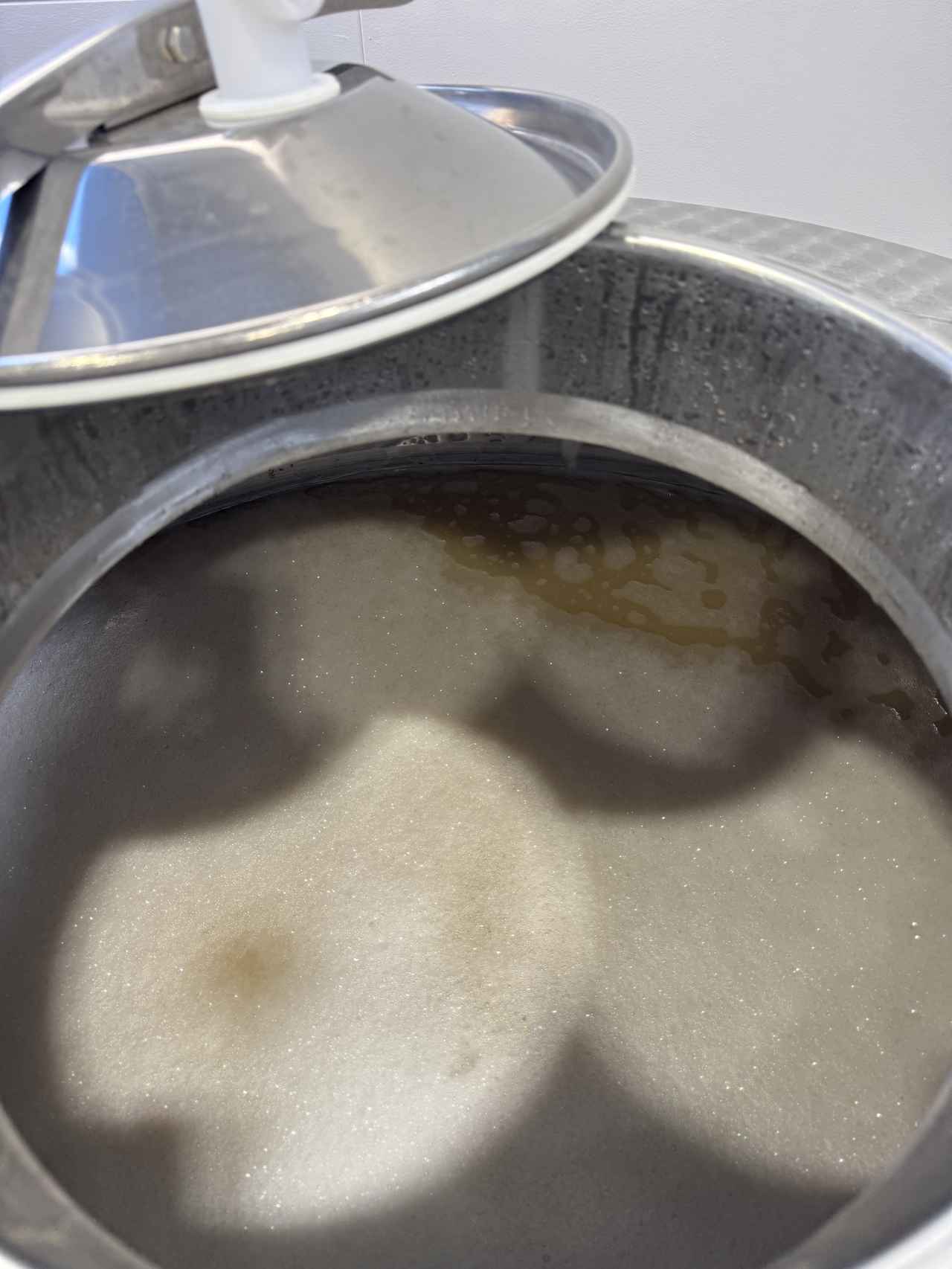 画像: ふつふつと泡立っていて生き物のよう