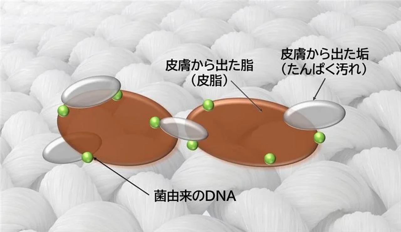 画像: 〈新酵素を採用した新『NANOX　one』での洗浄イメージ〉洗浄前