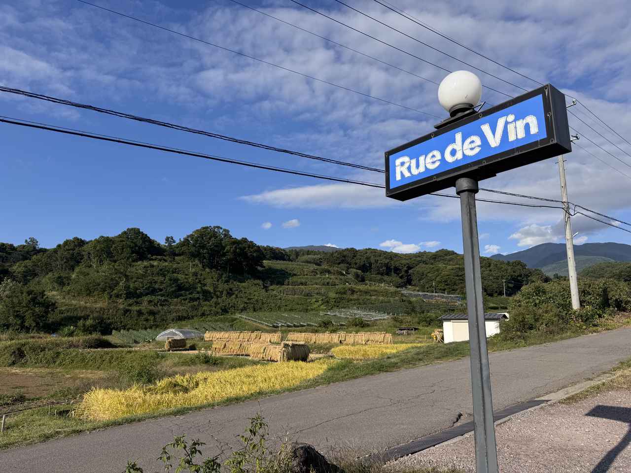 画像1: 東御市に広がる、異国のようなワイン畑へ