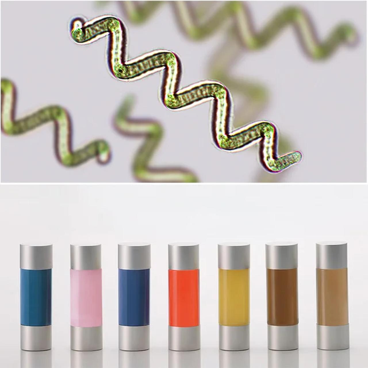 画像: ③先端科学　―光の環境に着目した、美容設計―