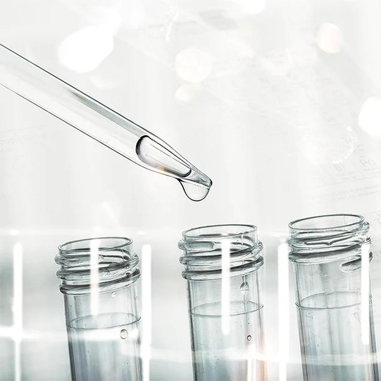 画像: ②幹細胞　―肌の変化に寄り添う、先進的な保湿アプローチ―