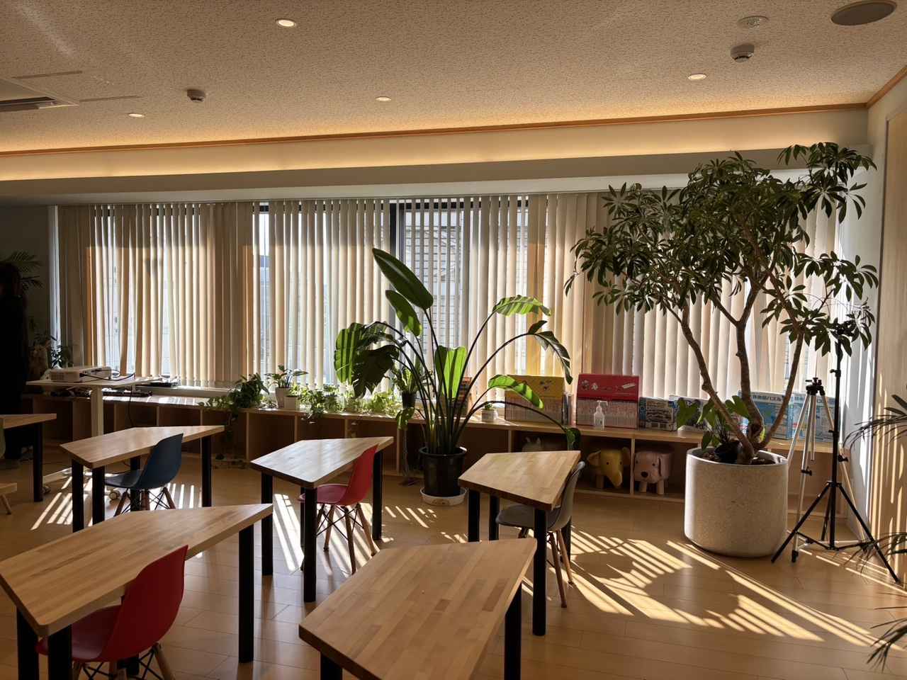 画像: ”放課後”の過ごし方が未来を変える？ー開校1年で見えた子どもたちの変化