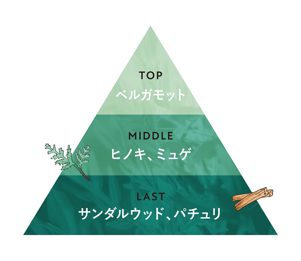 画像1: 森林浴気分で、肌も心も深呼吸♡BOTANIST「泡ボディーソープ」がリニューアル新発売