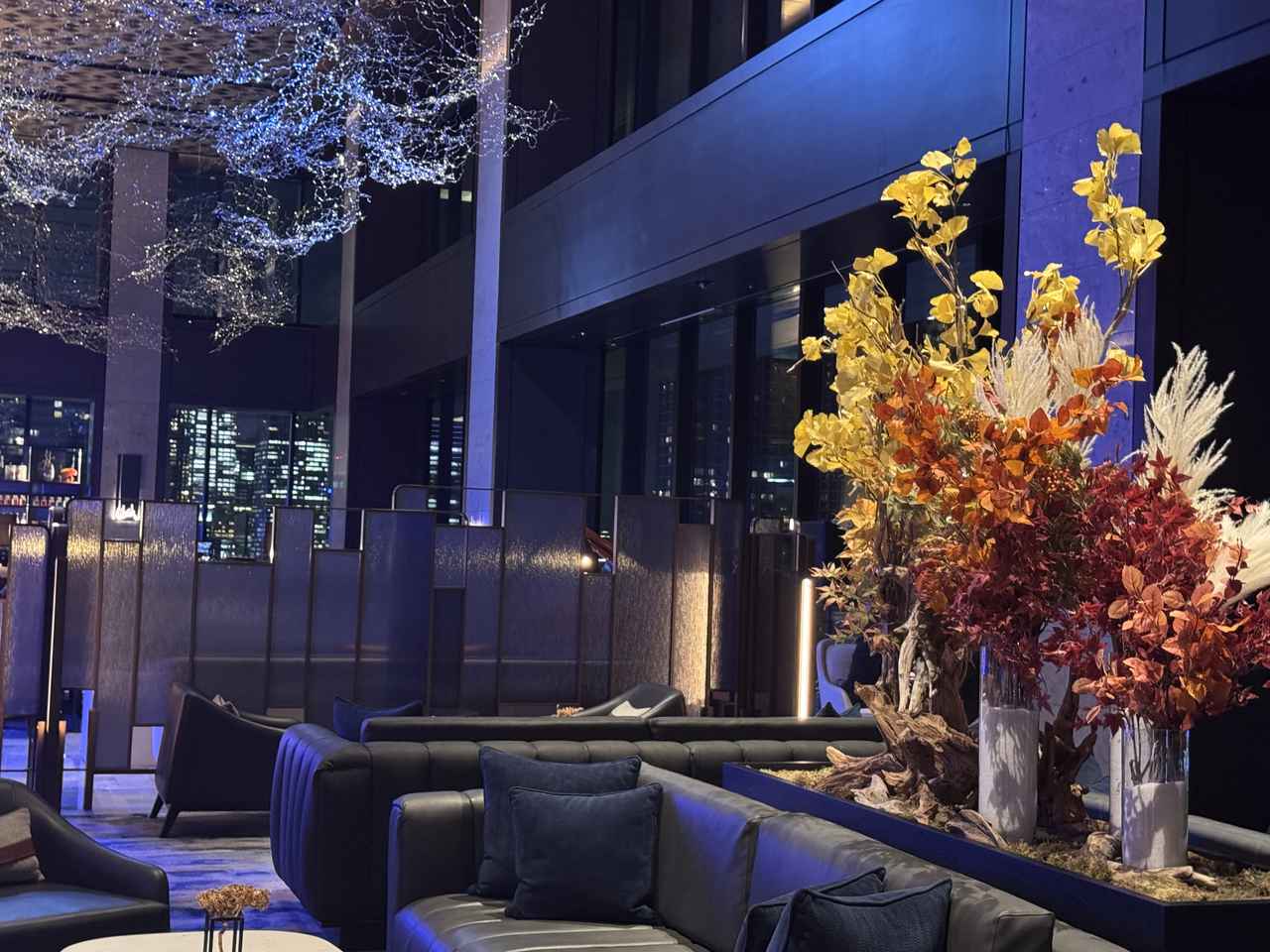 画像: 東京湾エリアの絶景とともに、非日常館に浸るひととき