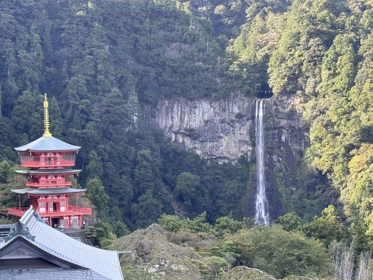 画像3: 白浜滞在をもっと楽しく──周辺のおすすめ観光スポット