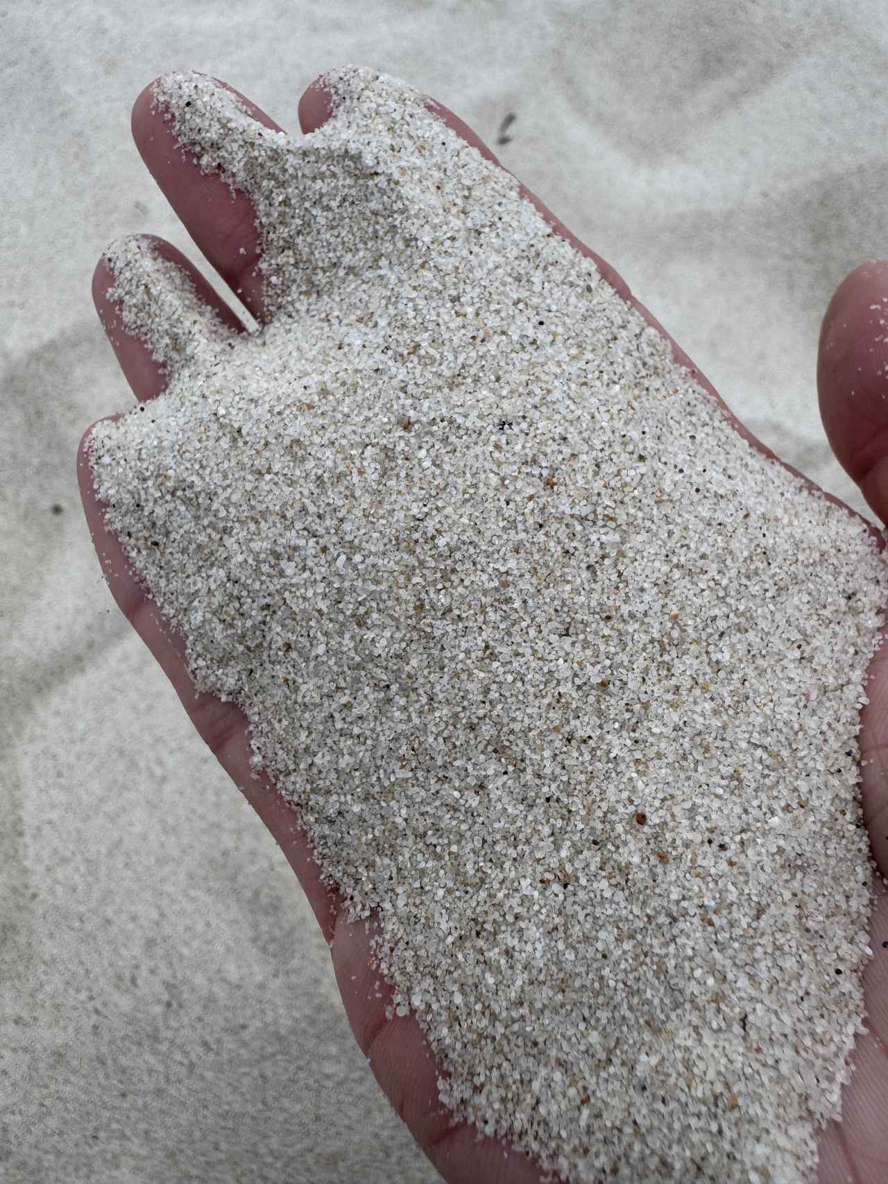 画像41: 南紀白浜で味わう三つ星バイキングと絶景露天風呂♡【大江戸温泉物語Premium 白浜彩朝楽】で過ごす至福の温泉旅