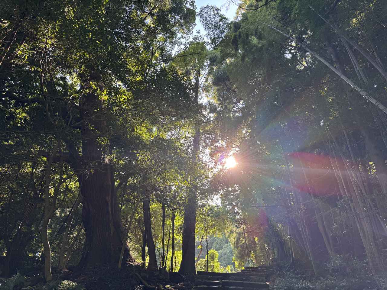 画像1: 白浜滞在をもっと楽しく──周辺のおすすめ観光スポット