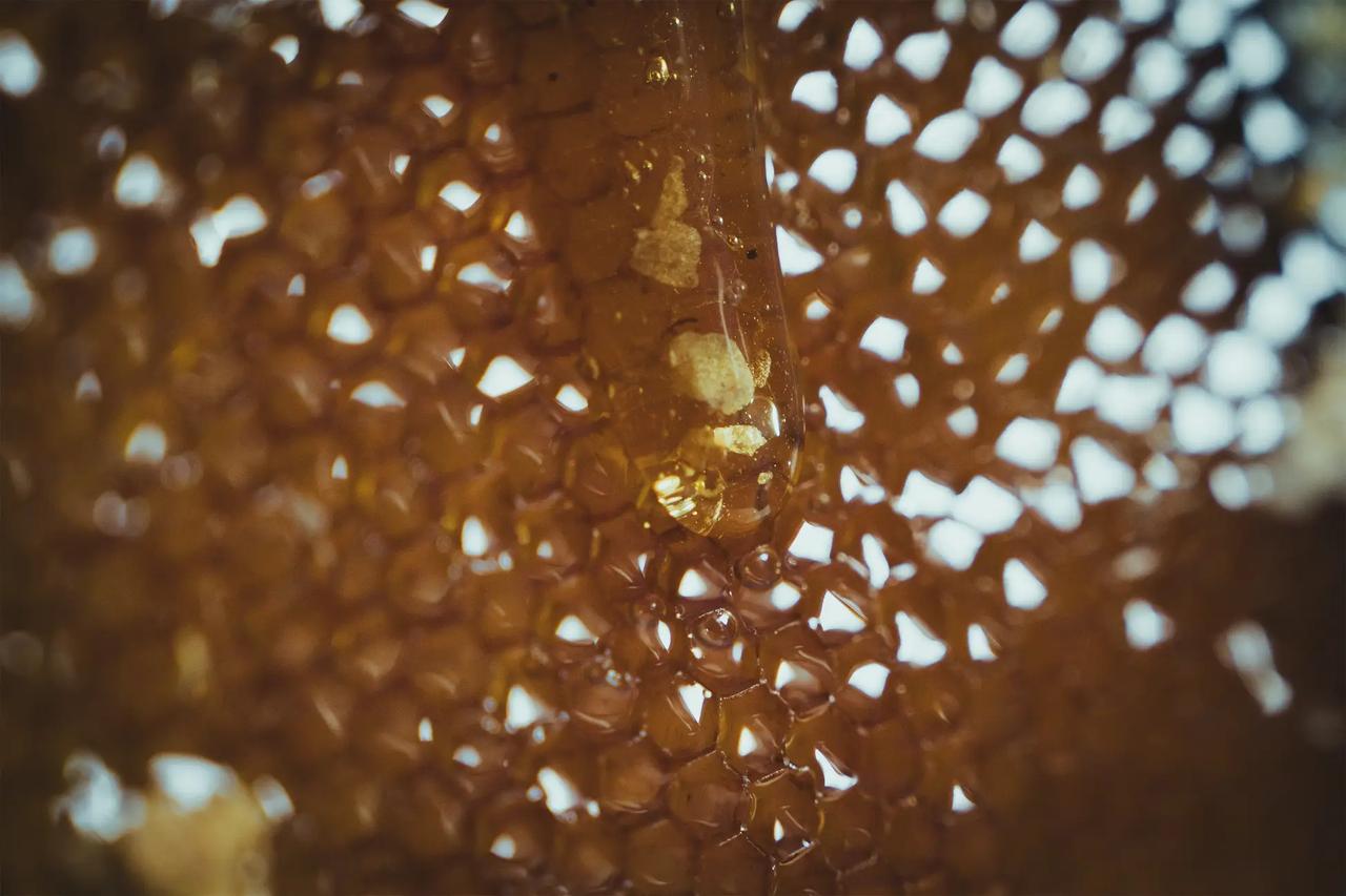 画像2: “肌に纏うシルク”という贅沢♡FASから誕生「ザ ドレープ シリーズ」でボディケアに新しい美意識を