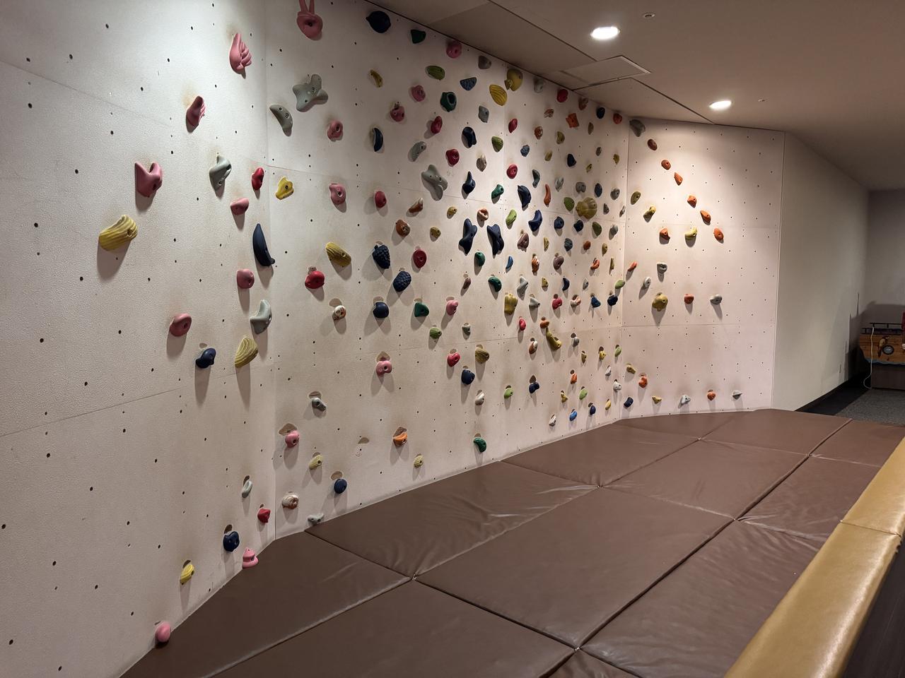 画像7: 南紀白浜で味わう三つ星バイキングと絶景露天風呂♡【大江戸温泉物語Premium 白浜彩朝楽】で過ごす至福の温泉旅