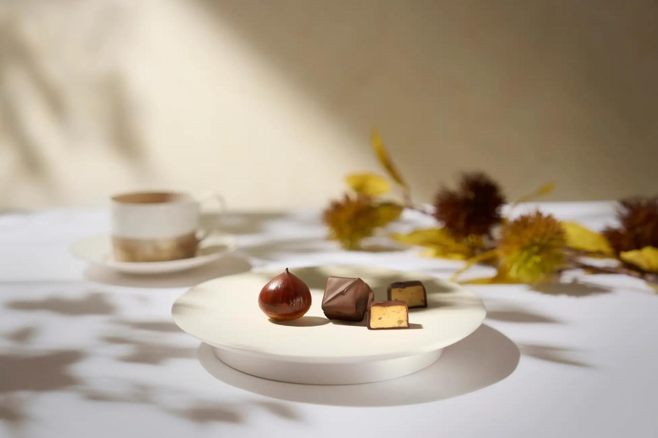 画像1: 【試食レポ】超希少!大人のためのハイブランドショコラ「YES. SHE KNOWS」から、秋の新作「WAGURI Noir(和栗ノワール)」が登場♡