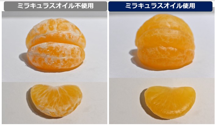 画像: ミラキュラスオイルを使用してみかんの保湿は可能なのか？