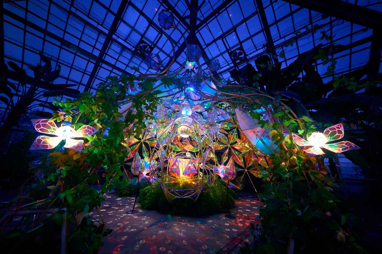 画像1: 4 フォトジェニックバケーション:大温室ライトアップ