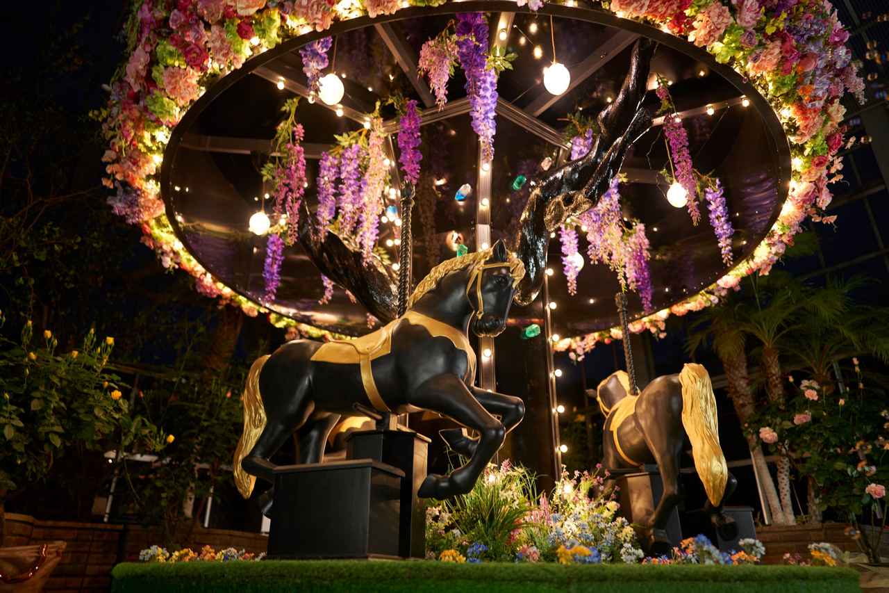 画像2: 4 フォトジェニックバケーション:大温室ライトアップ