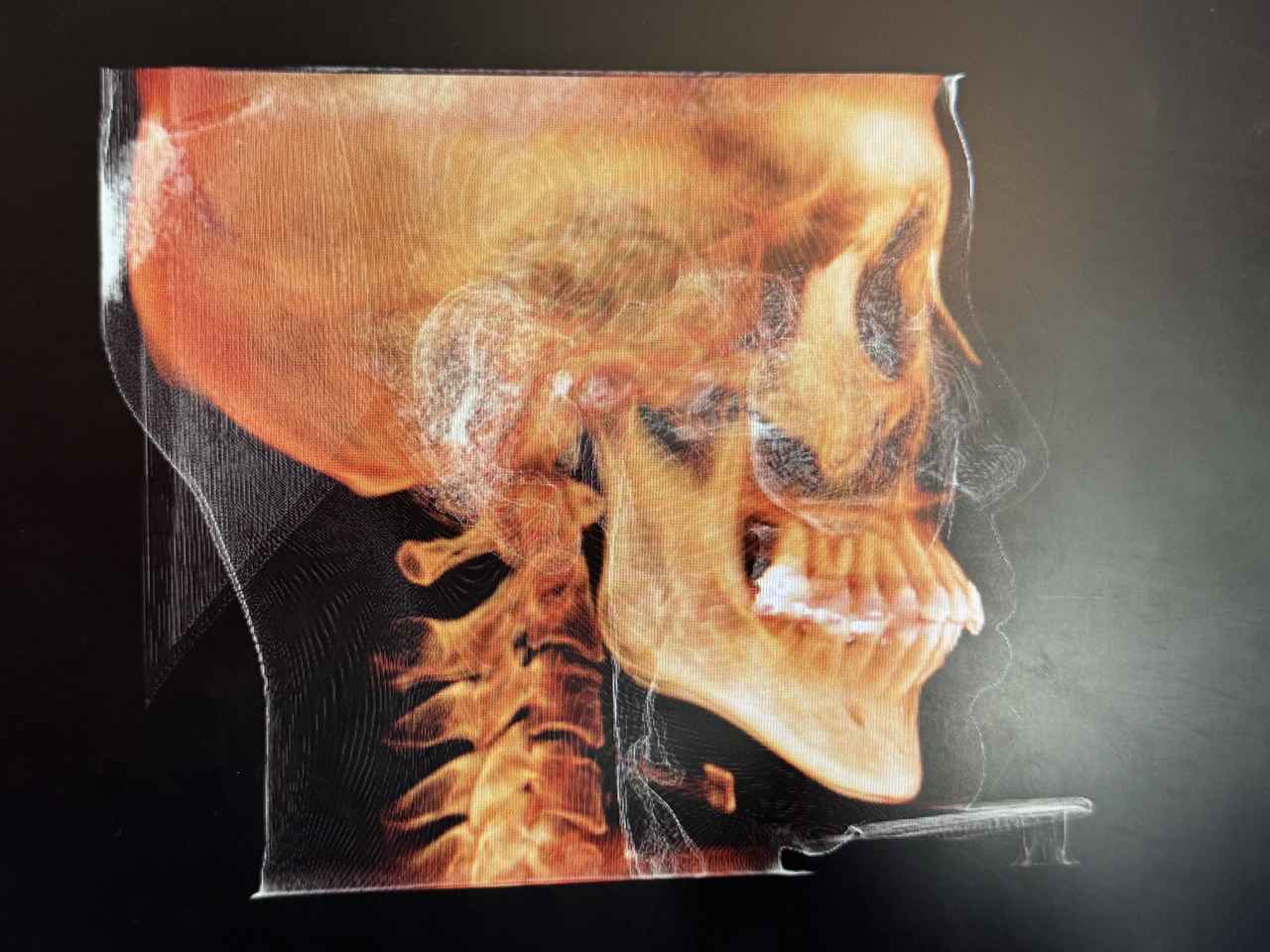 画像4: “歯科治療”を忘れるほどのくつろぎを♡港区元麻布「こどもと女性の歯科クリニック」