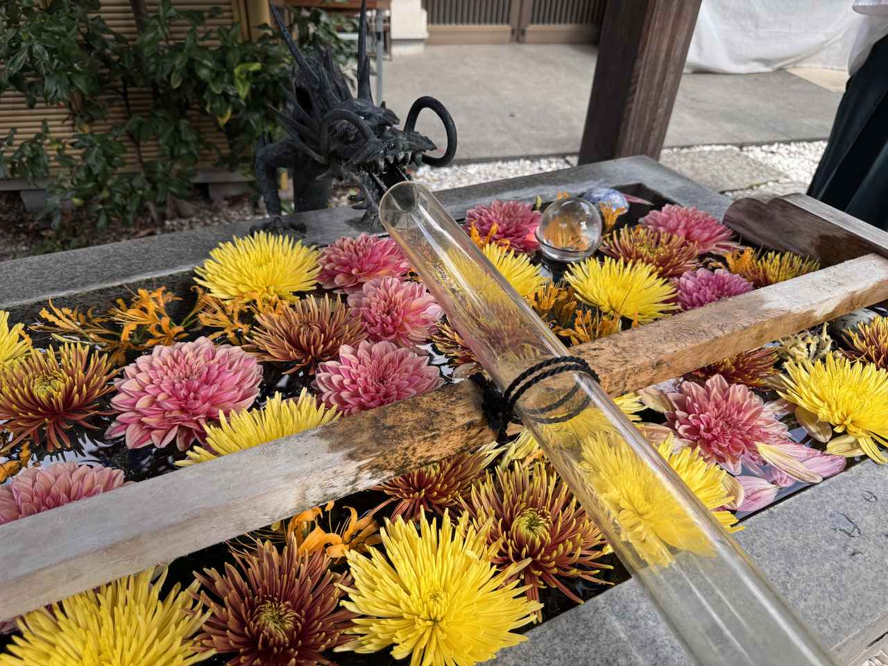 画像4: 秋の開運旅♡蛇窪神社✖伝統屋形船で“ご利益”を味わう贅沢な一日